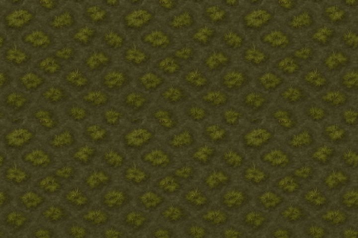 Tile 5